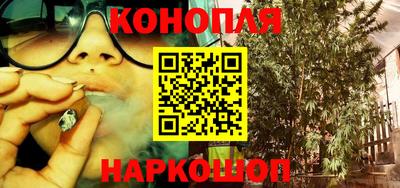 СК Сланцы