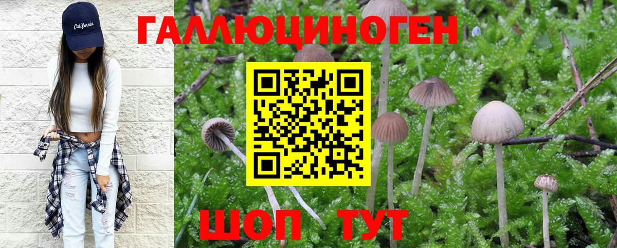Псилоцибиновые грибы мухоморы Новодвинск